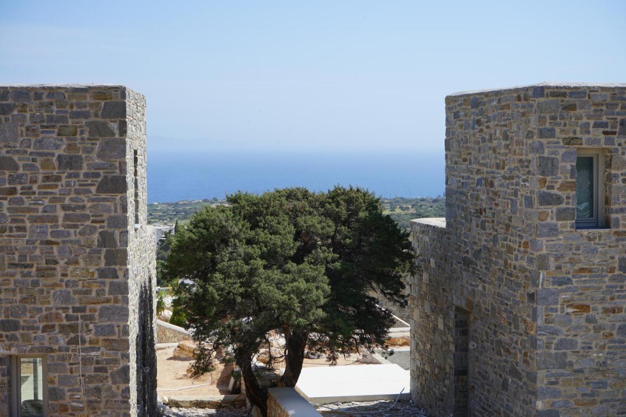 Paros-Memories-Neubau-Villen, Sportpool Aspro Chorio Εξωτερικό φωτογραφία